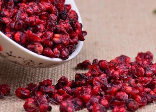 五味子是热性还是凉性