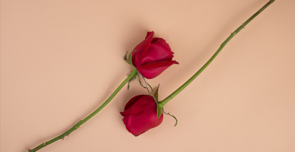 爱上一个人需要多久的时间