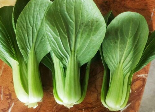 鸡毛菜和上海青的区别