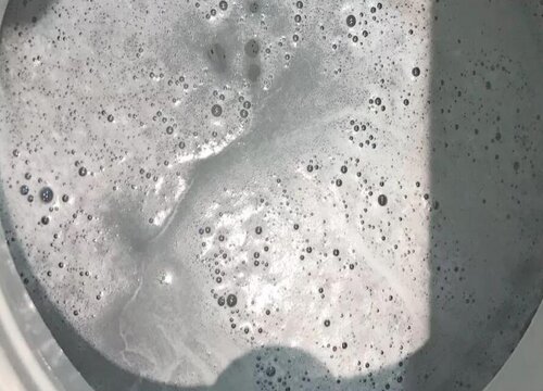 花上有腻虫用什么方法去除