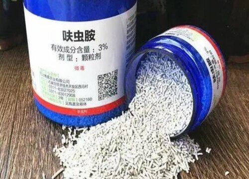 花上有腻虫用什么方法去除