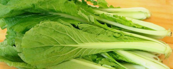 常吃小白菜有什么好处