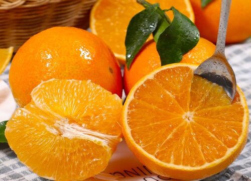 果冻橙是热性还是凉性