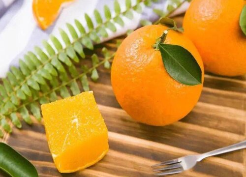 果冻橙是热性还是凉性