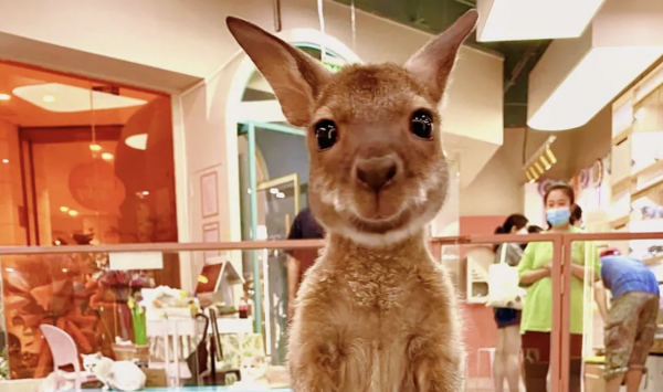 北京十大必逛的商场