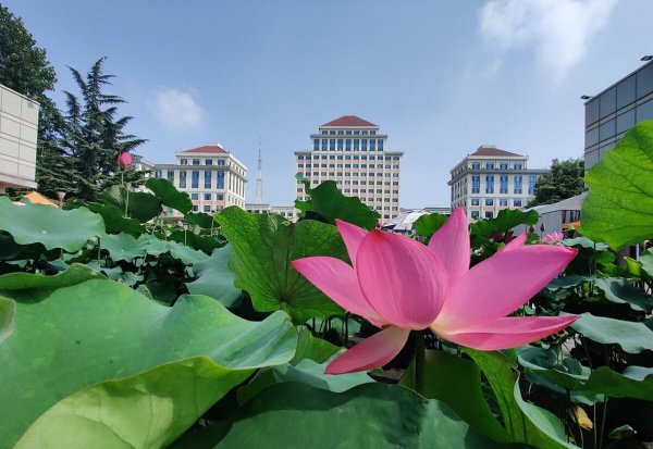 中央财经大学算名校吗