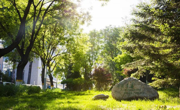 中央财经大学算名校吗