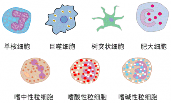 狮子和老虎能杂交吗