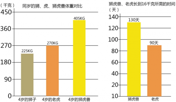 狮子和老虎能杂交吗