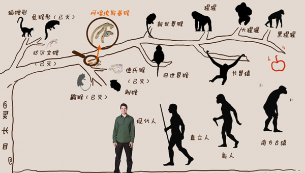 狮子和老虎能杂交吗