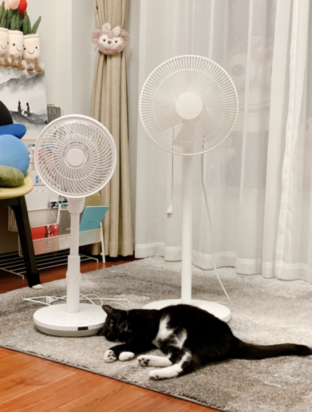 夏天买空气循环扇还是电风扇好用