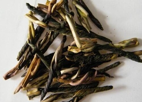 苦丁茶长什么样子