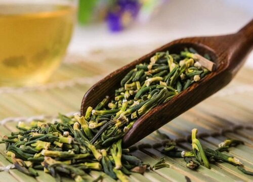 苦丁茶长什么样子