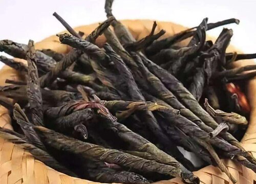 苦丁茶长什么样子