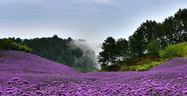 开州旅游景点大全攻略