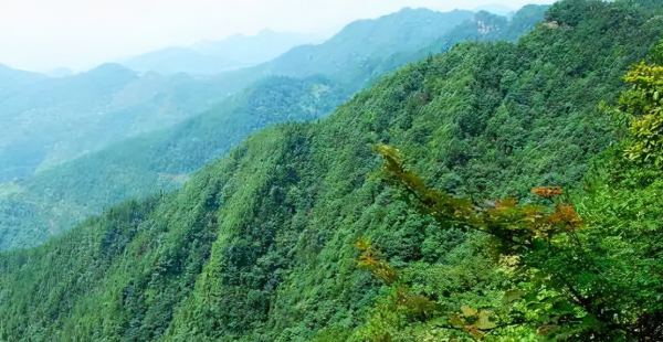 开州旅游景点大全攻略