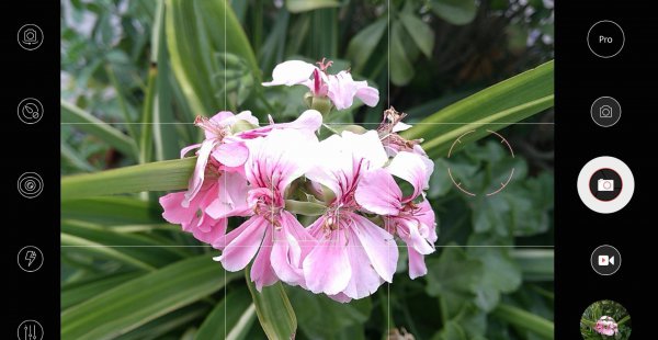 手机相机专业模式参数都是什么