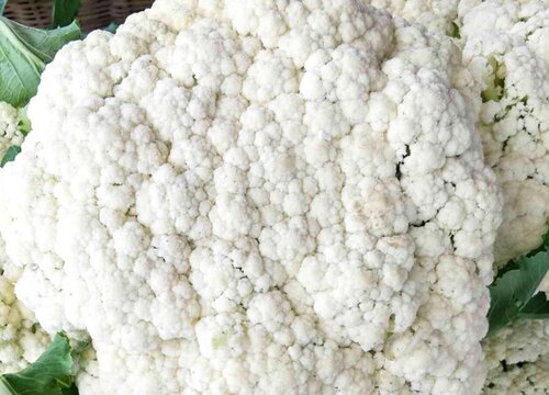 花菜能放冰箱吗