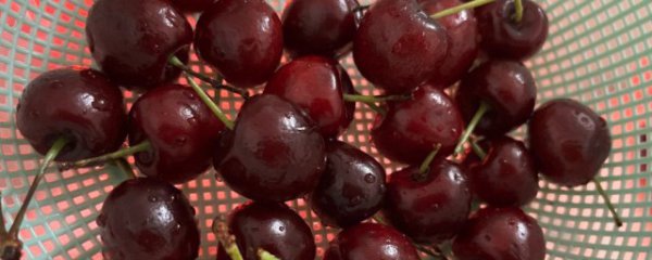 车厘子怎么看级别