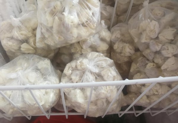 冷冻馄饨的正确方法煮法窍门
