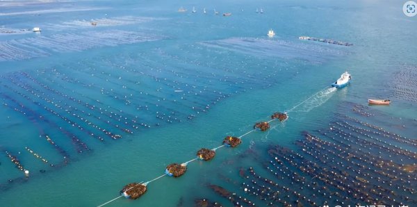 大连是几线城市