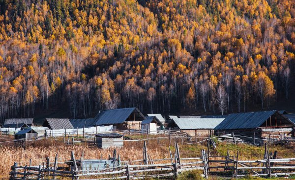 新疆禾木村简介