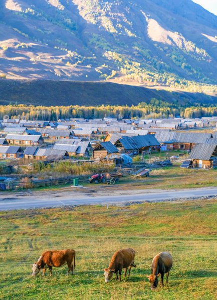 新疆禾木村简介