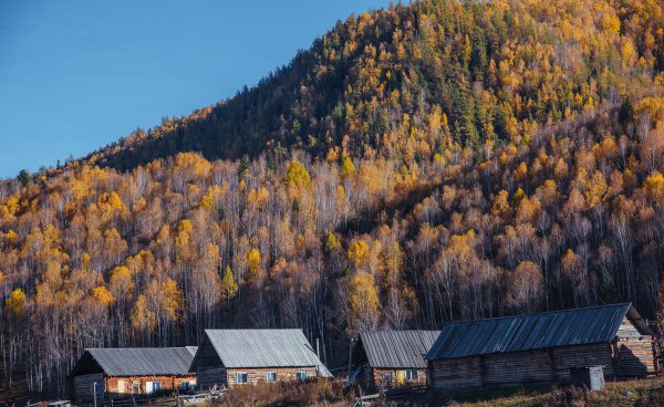 新疆禾木村简介