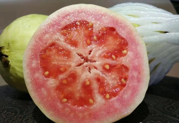 芭乐是什么水果