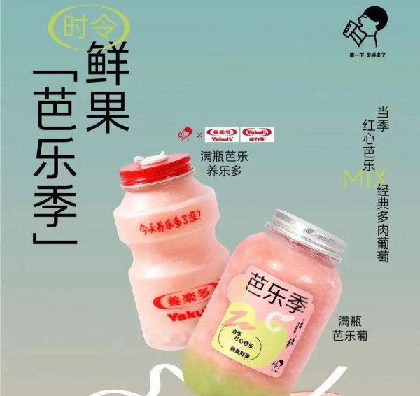 芭乐是什么水果