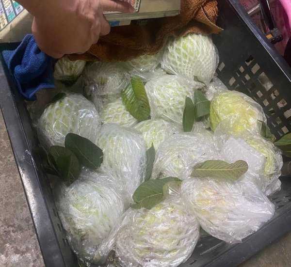 芭乐是什么水果