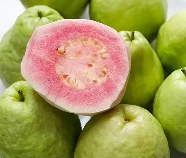 芭乐是什么水果