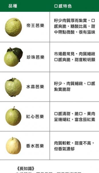 芭乐是什么水果