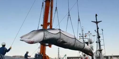 挪威在哪里的具体位置