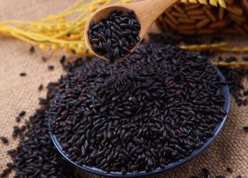 黑米是哪里产的