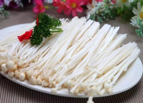 金针菇是植物吗