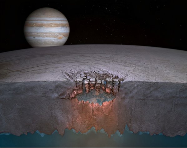 除了地球还有哪个星球有生命