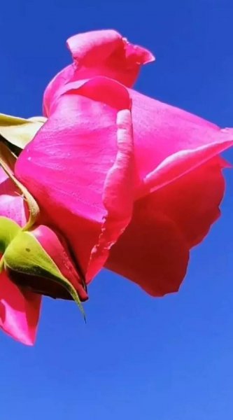 怎么试探情人爱不爱你