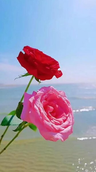 怎么试探情人爱不爱你