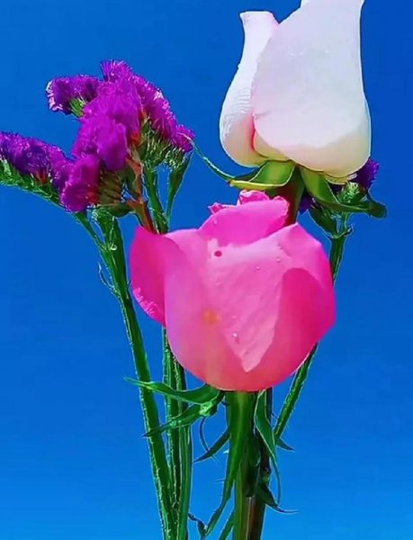 怎么试探情人爱不爱你