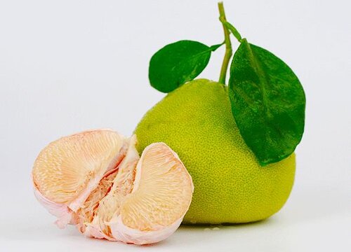 文旦是热性还是凉性
