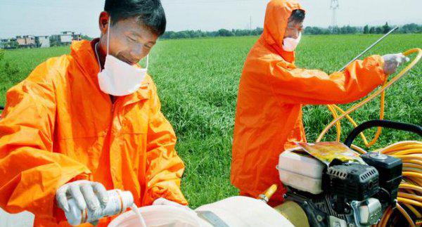 兑水的农药能放多久才失效