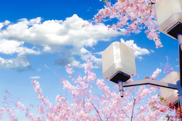 女生情动的特征是什么