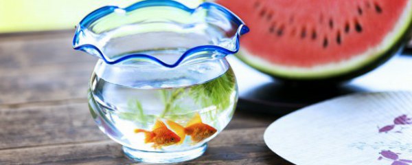 手上有香味能往鱼缸放水吗