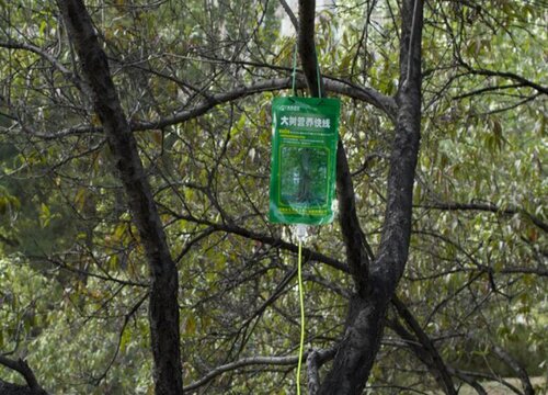 植物营养液对人体有毒吗