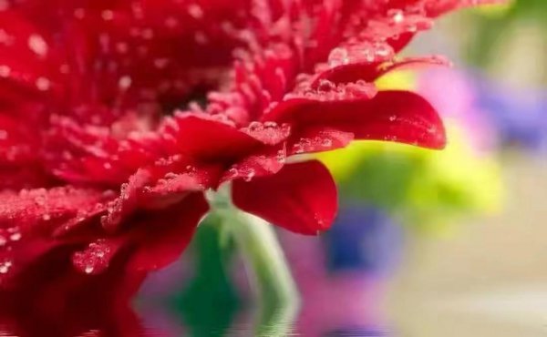 为什么内向的人说话声音小