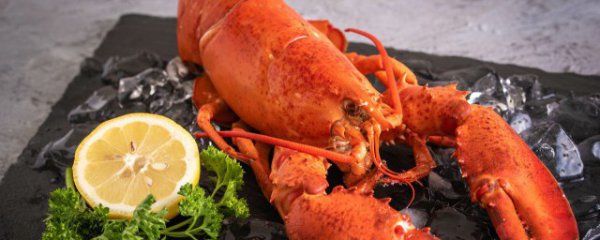 刚死的大龙虾怎么保鲜