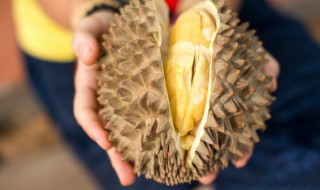 喝白酒可以吃榴莲吗 喝白酒能不能吃榴莲呢