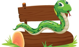 梦到很多蛇预示着什么 梦到很多蛇预示好不好