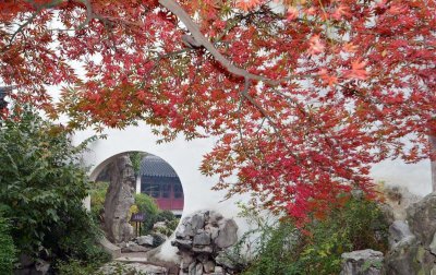 苏州一日游最佳攻略 苏州一日游怎么安排游览路线